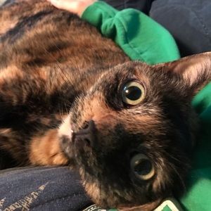 Meet your Posher, Victoria